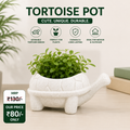 Cute Tortoise Shaped Planter – Durable Indoor & Outdoor Succulent Pot